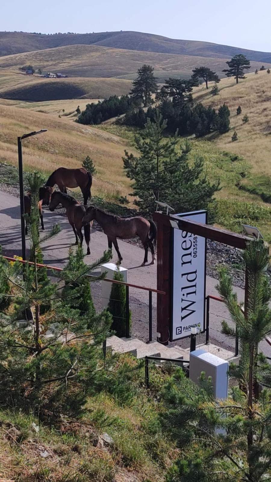 Wild Nest Zlatibor Bear Villa Bagian luar foto